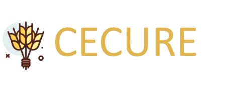 Cecure